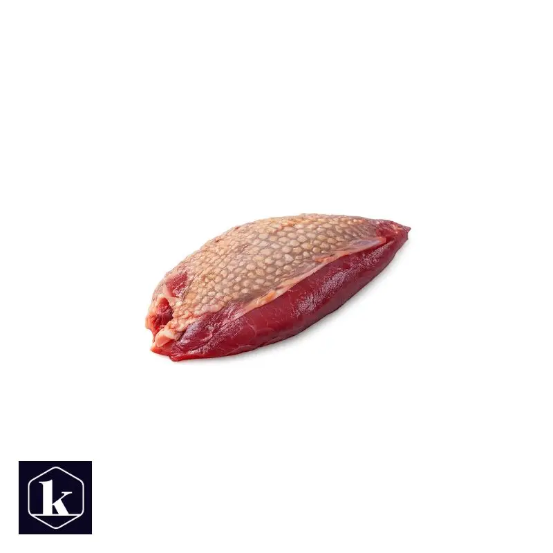 Houtduiffilet, rauw, één stuk, vrijstaand op transparante achtergrond.