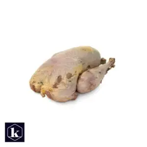 Fazant, haan of hen, panklaar en geplukt, vrijstaand op transparante achtergrond.